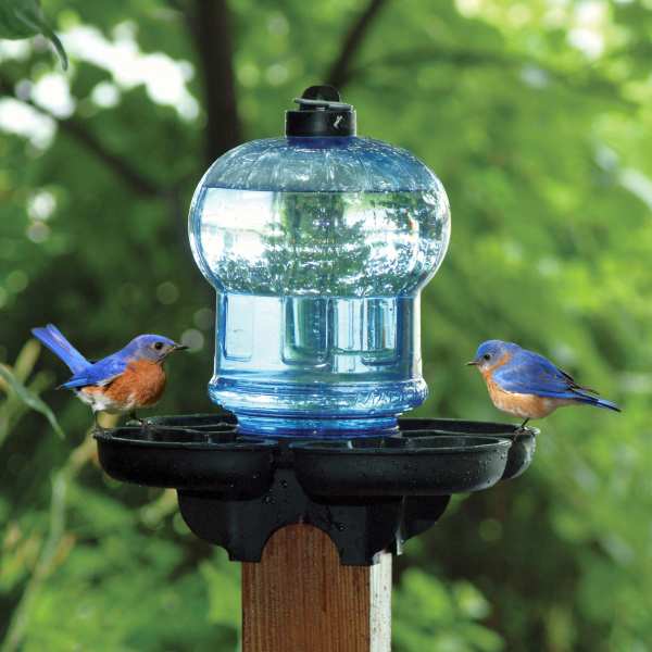 Bird Bath and Waterer Blue Globe